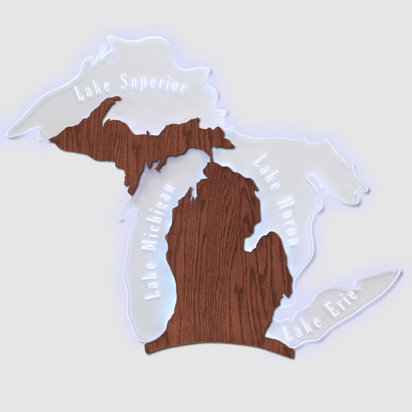 Michigan Edge Lit Wall Sign