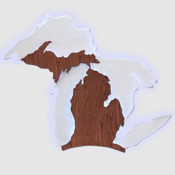 Michigan Edge Lit Wall Sign