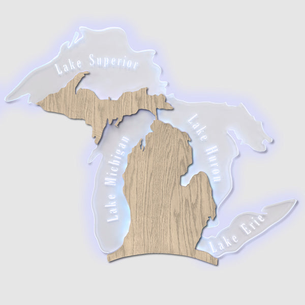 Michigan Edge Lit Wall Sign