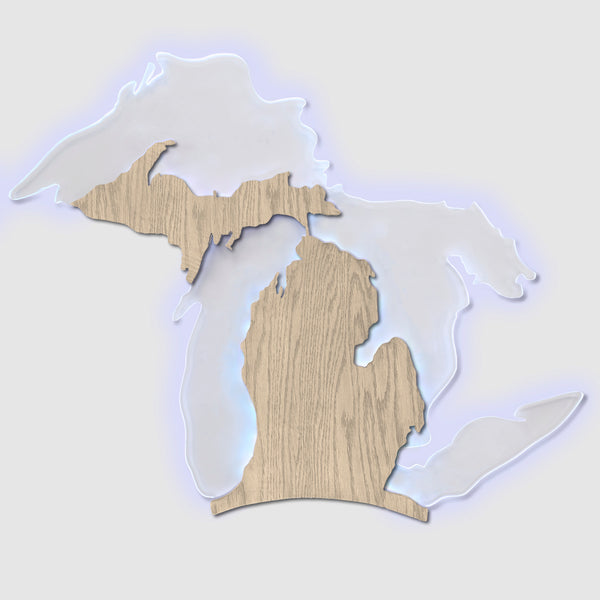 Michigan Edge Lit Wall Sign