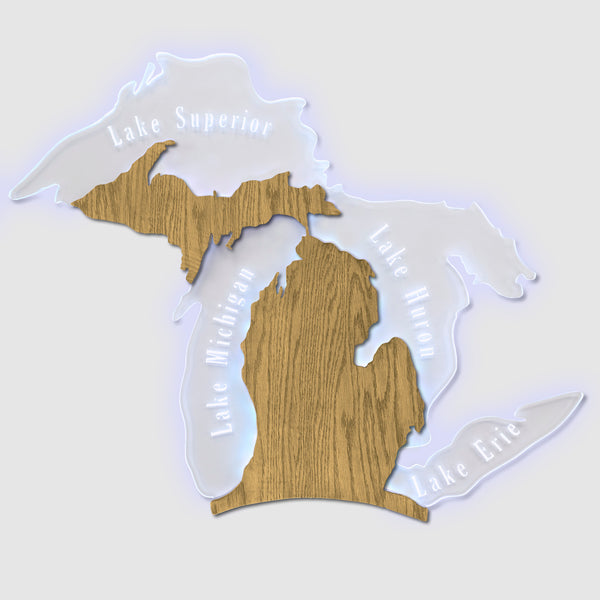 Michigan Edge Lit Wall Sign