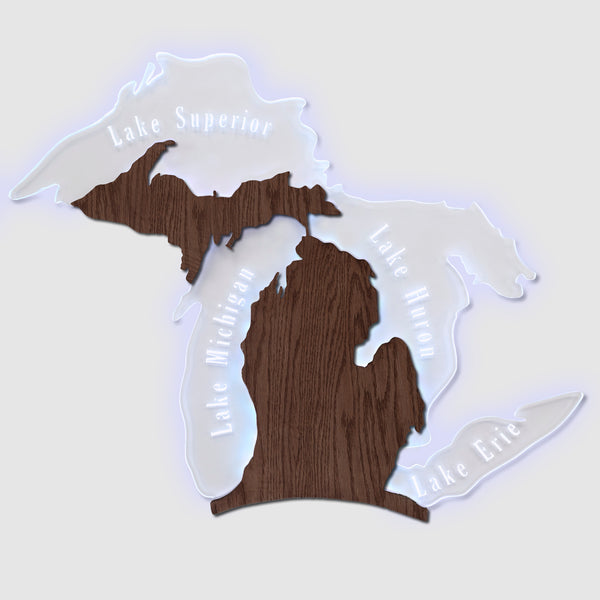 Michigan Edge Lit Wall Sign