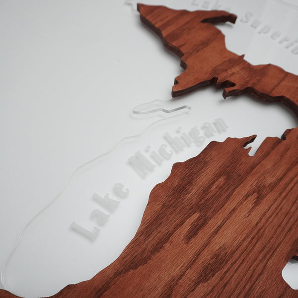Michigan Edge Lit Wall Sign