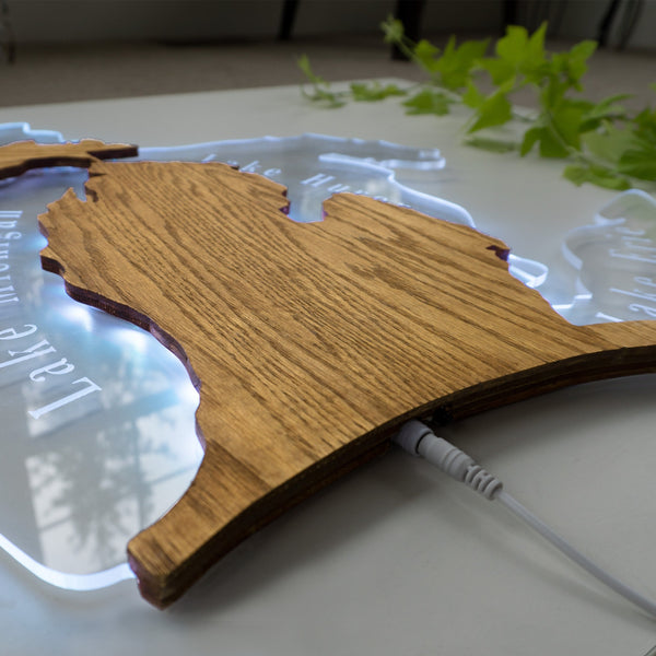 Michigan Edge Lit Wall Sign